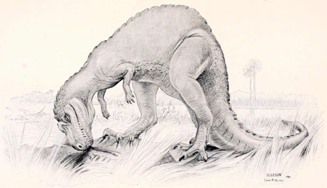 Incorrect reconstruction of Ceratosaurus - tail incorrectly shown as dragging, and hands incorrectly shown pronated.