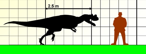 Approximate size of Ceratosaurus